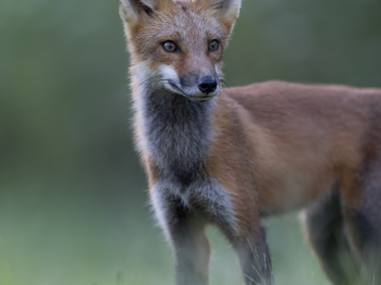 5PM7630-Modifier-copie-2