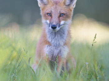 5PM8109-Modifier-copie-2