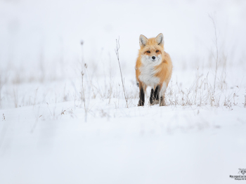 DB_2691-Modifier-copie