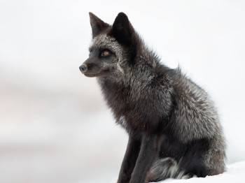 DB_4677-Modifier-copie