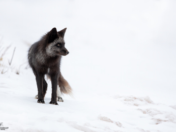 DB_4688-Modifier-copie