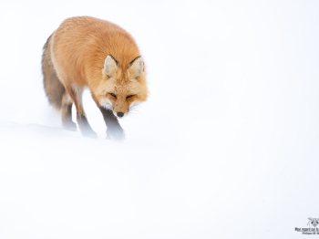 DB_6637-Modifier-copie