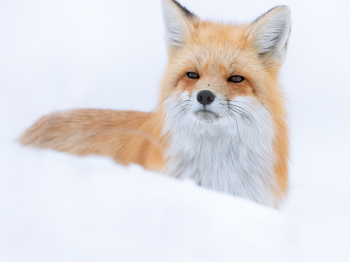 DB_6867-Modifier-Modifier-Modifier-Modifier-copie-2