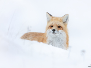 DB_6867-Modifier-Modifier-copie