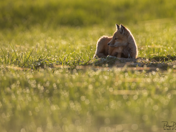 DB_8847-Modifier-copie