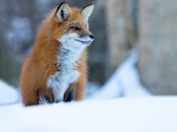 02I9479-Modifier-Modifier-copie