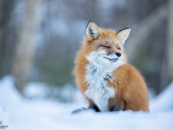 02I9545-Modifier-copie