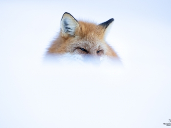 02I9616-Modifier-copie