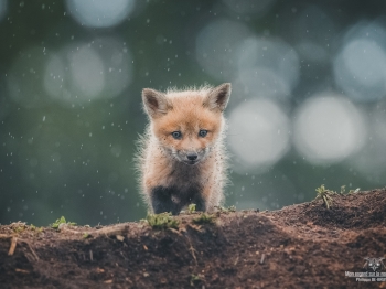 1_DXP4546-Modifier-copie