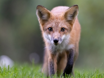 5PL4070-Modifier-copie-2