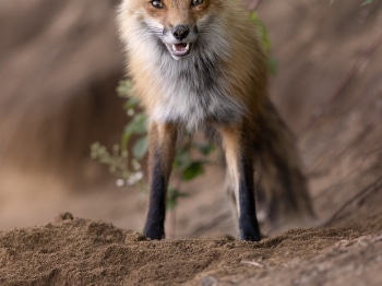 5PM7055-Modifier-copie-2