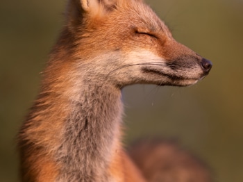 5PM7178-Modifier-copie-2