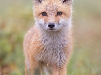 5TN3007-Modifier-Modifier-copie-2