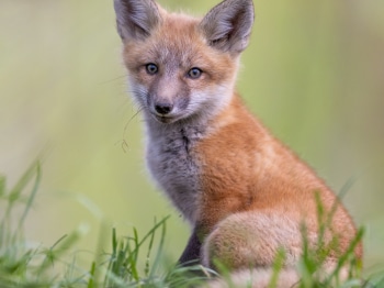 5TN5302-Modifier-copie-2