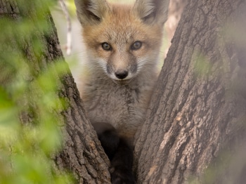 5TN6123-Modifier-copie-2