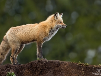 DXP4689-Modifier-copie