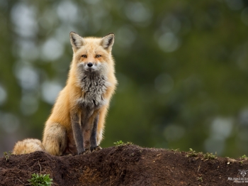 DXP4698-Modifier-3-copie