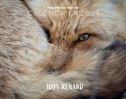 Calendrier 2024 100% renard